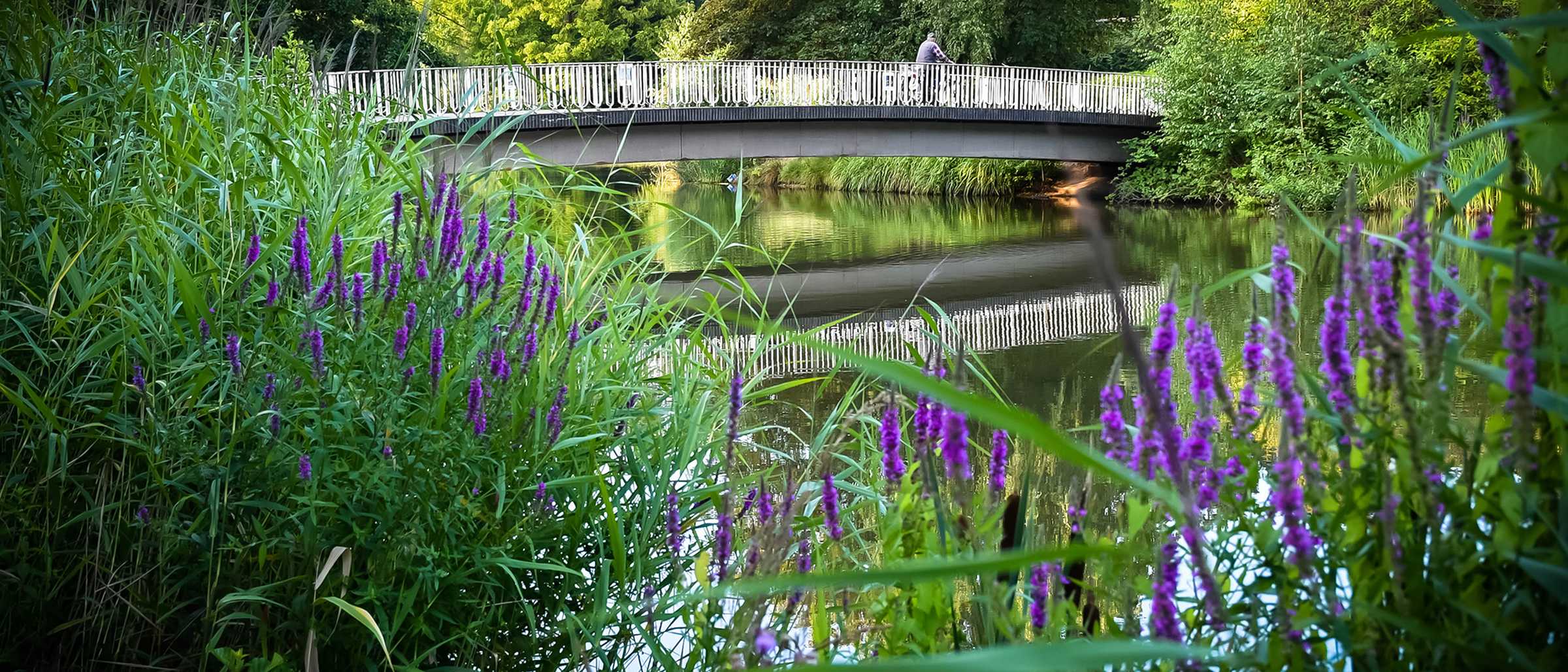 agra-Park - Teich