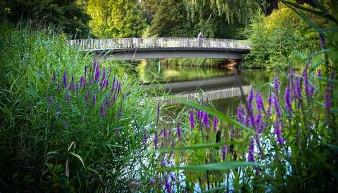 agra-Park - Teich agra-Park - Teich